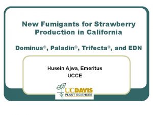 New Fumigants for Strawberry Production in California Dominus