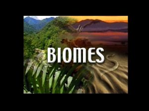 Biomes Biomes are regions in the world that