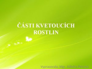 STI KVETOUCCH ROSTLIN Vypracovala Mgr Albta Pelcov ekni