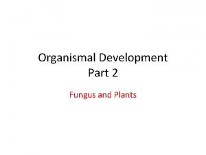 Organismal Development Part 2 Fungus and Plants Lifestyles