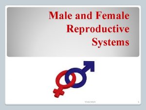 Male and Female Reproductive Systems 7262015 1 Male