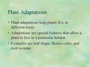 Plant Adaptations Plant adaptations help plants live in