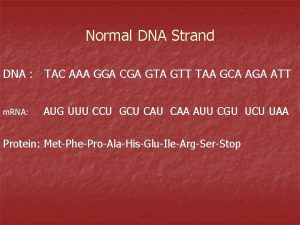 Normal DNA Strand DNA TAC AAA GGA CGA