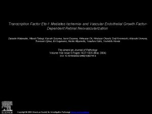 Transcription Factor Ets1 Mediates Ischemia and Vascular Endothelial