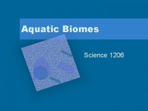 Aquatic Biomes Science 1206 Video aquatic biome http