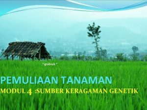 PEMULIAAN TANAMAN MODUL 4 SUMBER KERAGAMAN GENETIK PENDAHULUAN