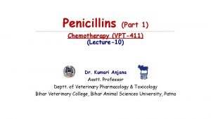 Penicillins Part 1 Chemotherapy VPT411 Lecture10 Dr Kumari