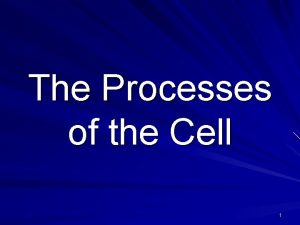 The Processes of the Cell 1 Essential Question