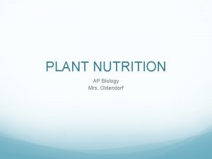 PLANT NUTRITION AP Biology Mrs Oldendorf Nutrition is