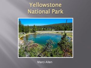 Yellowstone National Park Marci Allen Yellowstone Yellowstone National