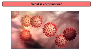 What is coronavirus What is coronavirus Coronaviruses are