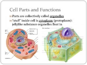 Cell Parts and Functions Parts are collectively called