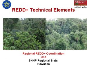 REDD Technical Elements Regional REDD Coordination Unit SNNP