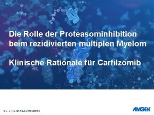 Die Rolle der Proteasominhibition beim rezidivierten multiplen Myelom