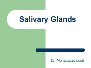 Salivary Glands Dr Mohammad nofal Anatomy Paired Major