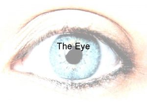 The Eye Parts of the Eye Cornea the