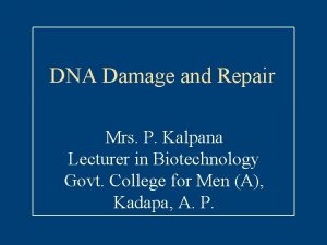DNA Damage and Repair Mrs P Kalpana Lecturer