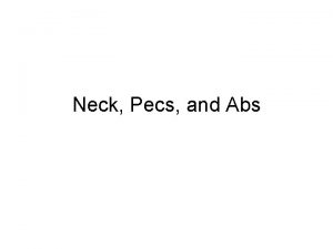 Neck Pecs and Abs Sternocleidomastoid O sternum clavicle