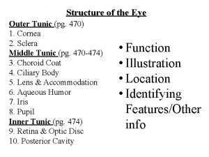 Structure of the Eye Outer Tunic pg 470