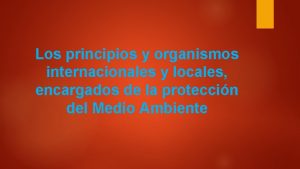 Los principios y organismos internacionales y locales encargados