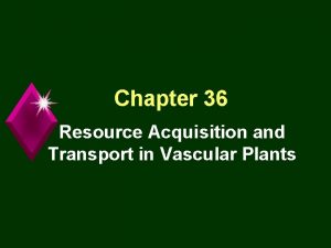 Chapter 36 Resource Acquisition and Transport in Vascular