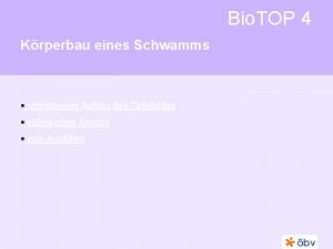 Bio TOP 4 Krperbau eines Schwamms schrittweiser Aufbau