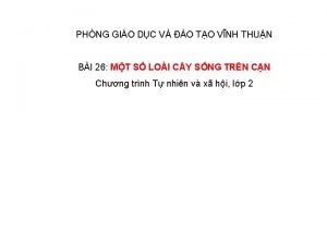 PHNG GIO DC V O TO VNH THUN