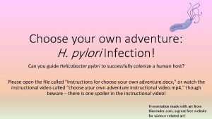 Choose your own adventure H pylori Infection Can