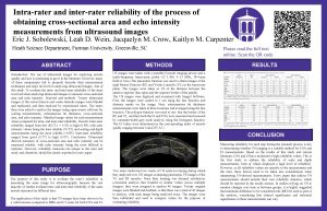 Intrarater and interrater reliability of the process of