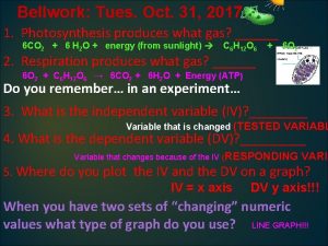 Bellwork Tues Oct 31 2017 1 Photosynthesis produces