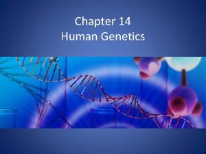 Chapter 14 Human Genetics Karyotypes Autosomes Picture of