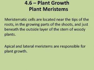4 6 Plant Growth Plant Meristems Meristematic cells