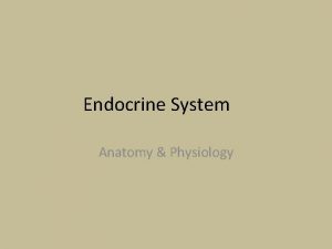 Endocrine System Anatomy Physiology I Endocrine System A