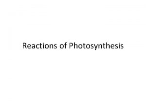 Reactions of Photosynthesis I Reactions of Photosynthesis A