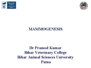 MAMMOGENESIS Dr Pramod Kumar Bihar Veterinary College Bihar