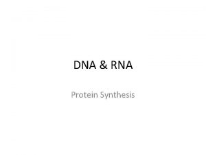 DNA RNA Protein Synthesis DNA vs RNA a