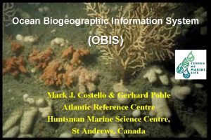 Ocean Biogeographic Information System OBIS Mark J Costello