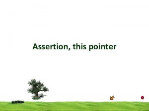 Assertion this pointer Assertion in C Function checks