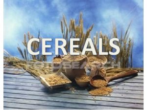 CEREALS Origin Cereals are a plant food that