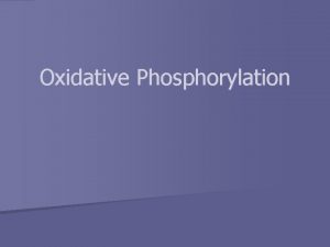 Oxidative Phosphorylation Oxidative Phosphorylation Final step of cellular