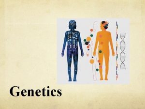 Genetics Genetics The study of heredity how traits