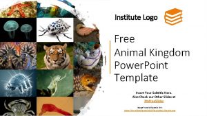 Institute Logo Free Animal Kingdom Power Point Template