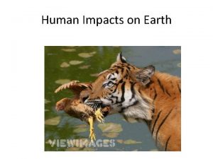 Human Impacts on Earth Limiting Factor Anything that