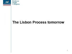 Professor Stefan Collignon The Lisbon Process tomorrow 1