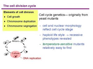 The cell division cycle Elements of cell division