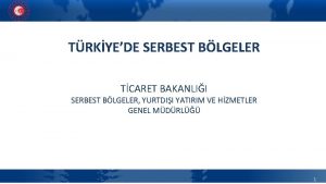 TRKYEDE SERBEST BLGELER TCARET BAKANLII SERBEST BLGELER YURTDII