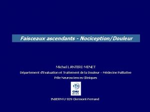 Faisceaux ascendants NociceptionDouleur Michel LANTERIMINET Dpartement dEvaluation et