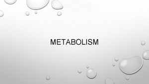 METABOLISM WHAT IS METABOLISM OUR BODIES GET THE