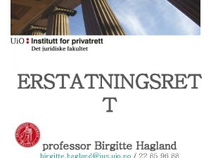 ERSTATNINGSRET T professor Birgitte Hagland HOVEDTEMA III 5