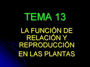TEMA 13 LA FUNCIN DE RELACIN Y REPRODUCCIN